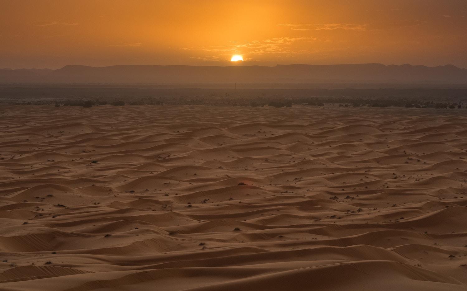 Merzouga & Sahara